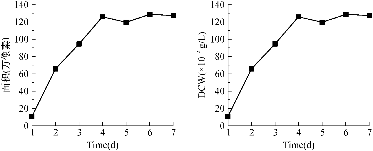 四、菌株識別系統(tǒng)的軟件實現(xiàn)